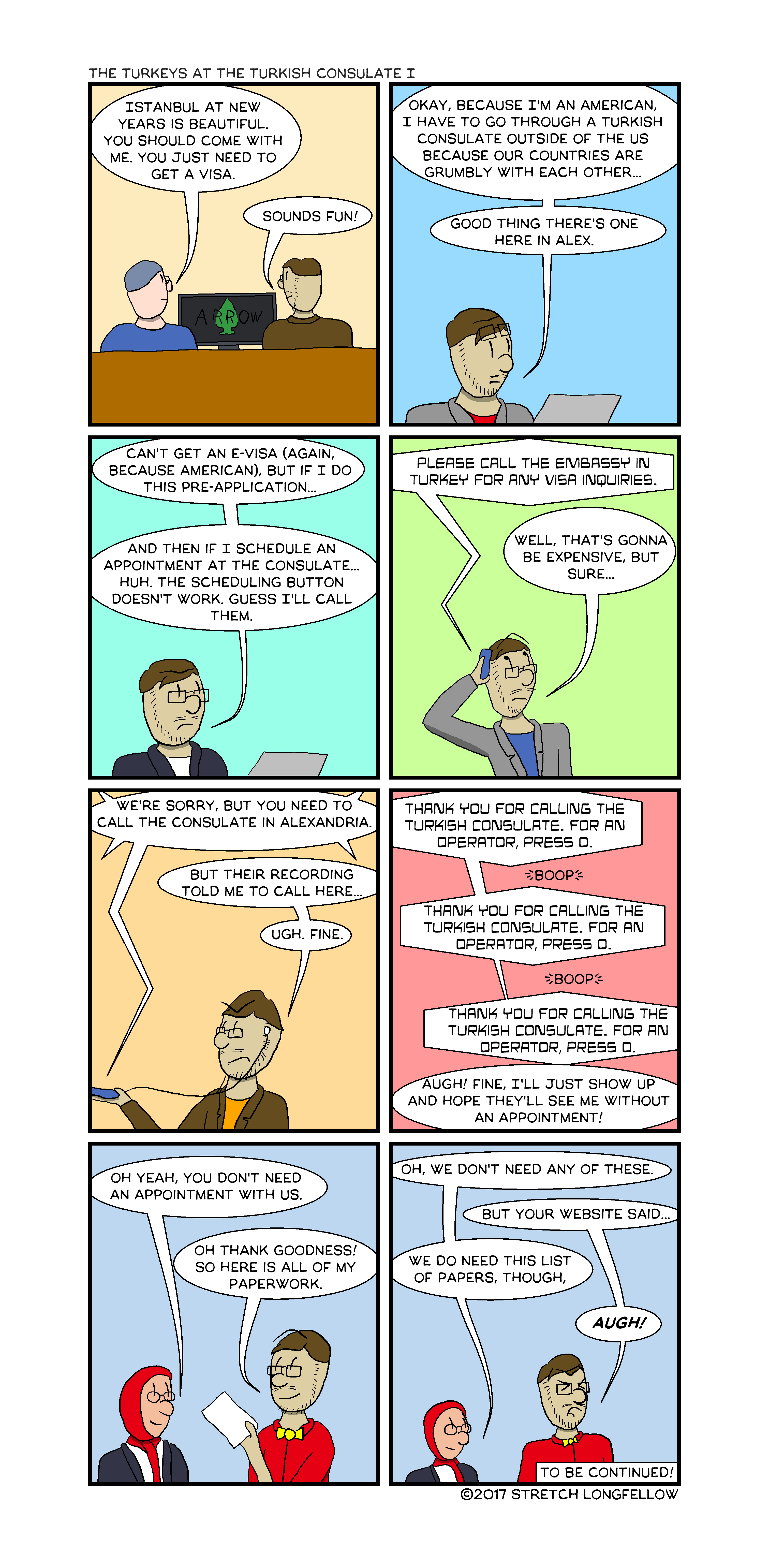 The Turkeys at the Turkish Consulate I